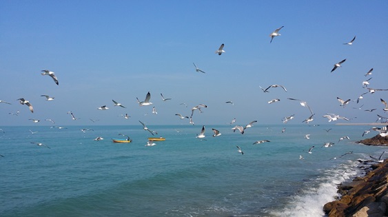 پیش بینی وضعیت جوی و دریایی هرمزگان سه شنبه ۱۵ مهر ماه