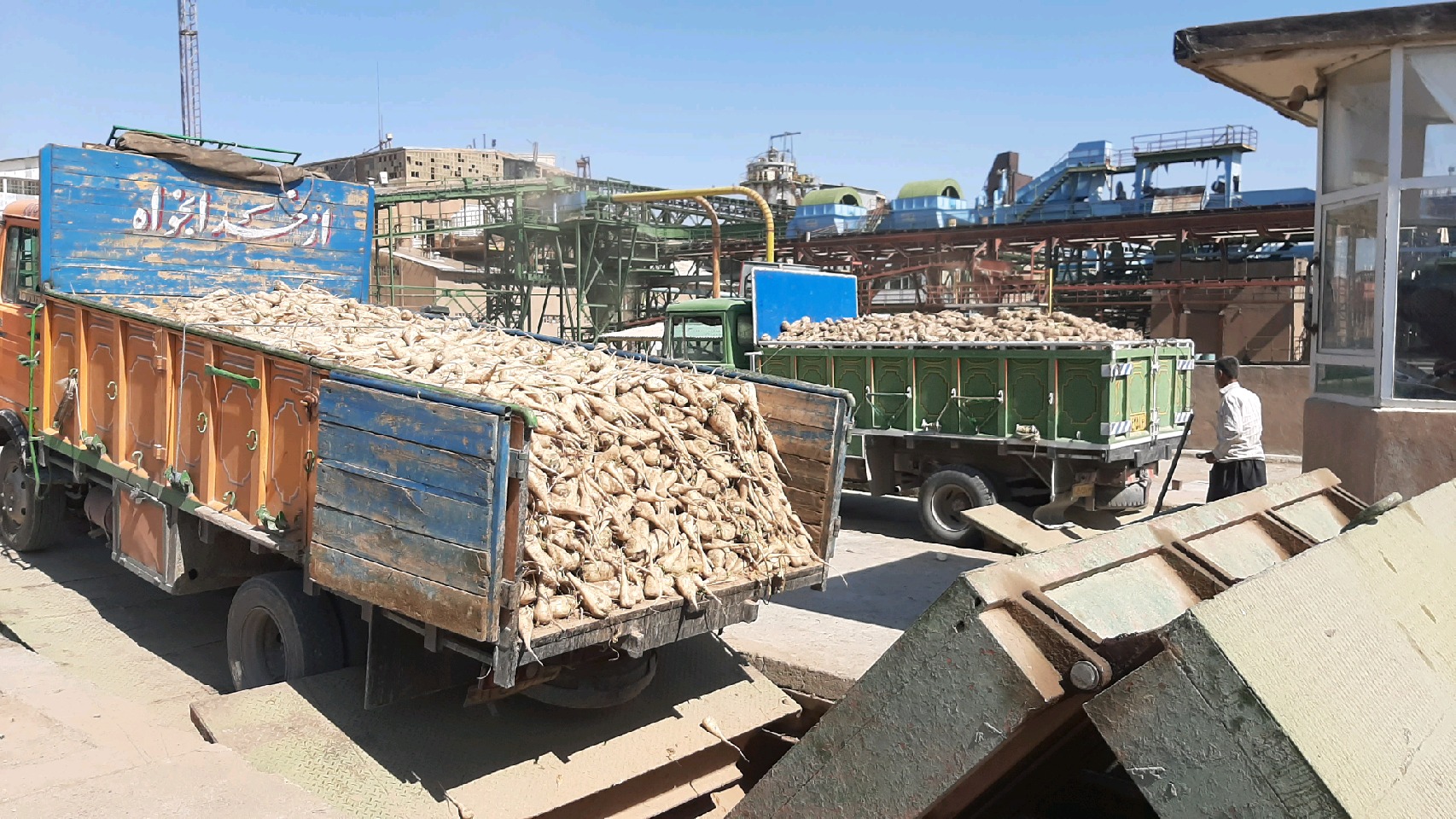 آغاز فعالیت فصلی کارخانه قند فریمان آغاز فعالیت فصلی کارخانه قند فریمان