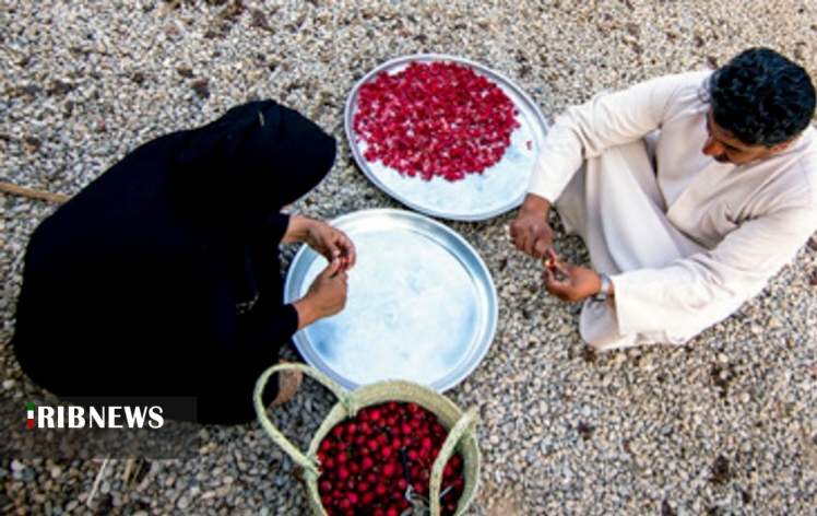 اقتصاد به روایت تصاویر ۱۶ مهر