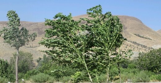 توصیه های جهادکشاورزی به کشاورزان در خصوص کاهش دما