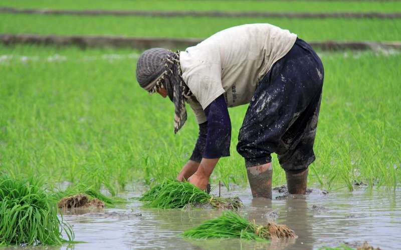 سیروان، شهرستانی با جاذبه های گردشگری فراوان