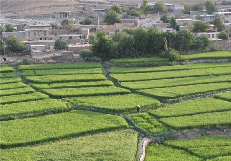 سیروان، شهرستانی با جاذبه های گردشگری فراوان سیروان، شهرستانی با جاذبه های گردشگری فراوان