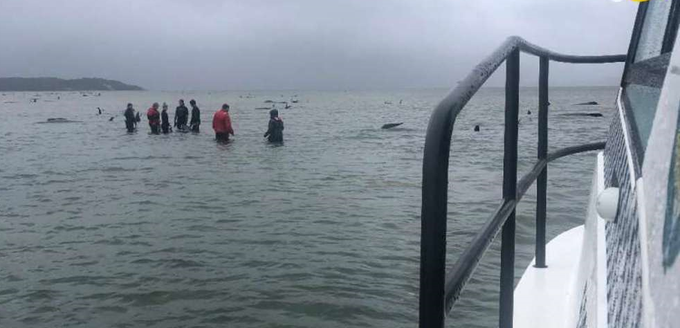 عملیات پیچیده نجات عملیات پیچیده نجات