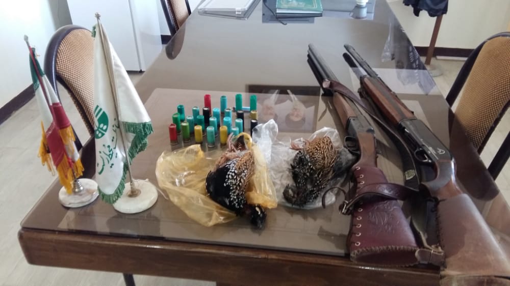 دستگیری شکارچیان غیرمجاز در رامهرمز دستگیری شکارچیان غیرمجاز در رامهرمز