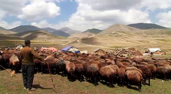 قشلاق بی رمق (در حال تکمیل)