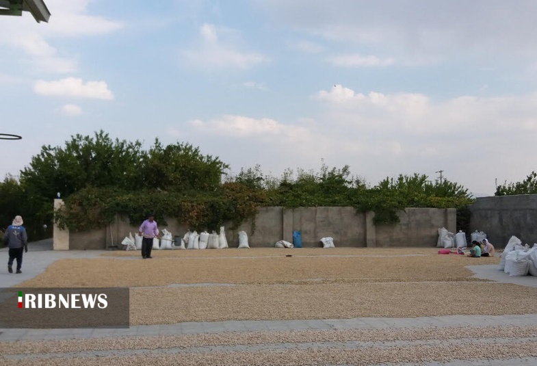 اقتصاد به روایت تصاویر ۲۱ مهر ۹۹