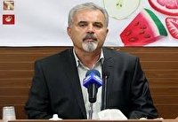 قد کشیدن قیمت سکه و دلار تا خوش بینی رئیس کل بانک مرکزی