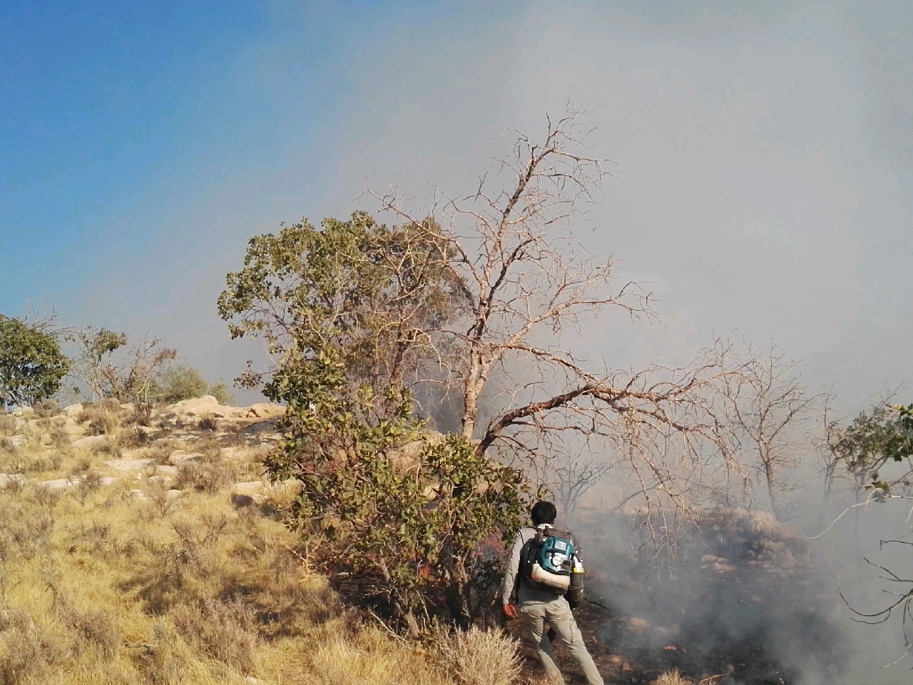 مهار آتش سوزی ارتفاعات گچساران