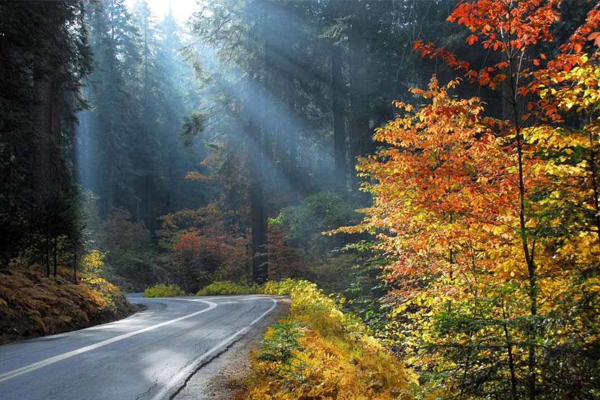 گردش مجازی در گرگان؛ از معروفترینها تا ناشناختهها گردش مجازی در گرگان؛ از معروفترینها تا ناشناختهها