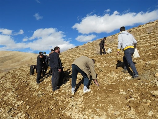 اجرای طرح مرتعداری در ۱۲۷ هزار هکتار مراتع اجرای طرح مرتعداری در ۱۲۷ هزار هکتار مراتع