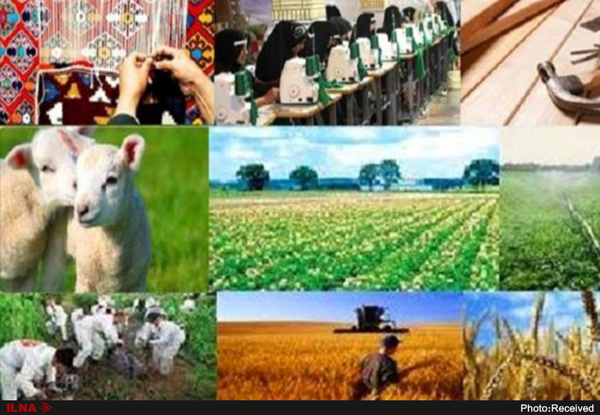 اجرای طرح طرح روستای بدون بیکار در مازندران