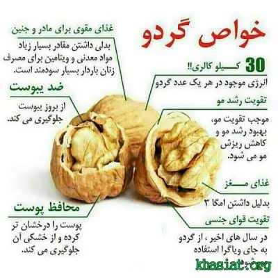 ۲۵ خاصیت شگفت انگیز درمانی گردو برای ۲۰ بیماری