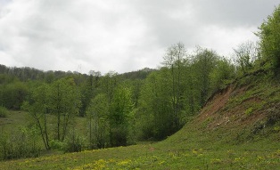 رفع تصرف اراضی ملی روشنکوه بخش چهاردانگه ساری رفع تصرف اراضی ملی روشنکوه بخش چهاردانگه ساری