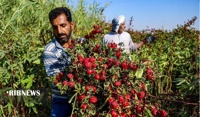 اقتصاد به روایت تصاویر ۱۰ آبان ۹۹