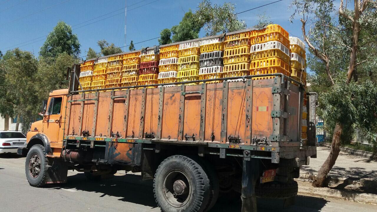 کشف بیش از 3 هزار قطعه مرغ زنده بدون مجوز کشف بیش از 3 هزار قطعه مرغ زنده بدون مجوز