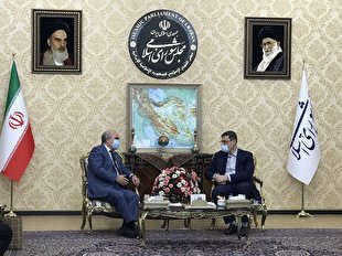 دیدار سفیر روسیه با نایب رئیس اول مجلس