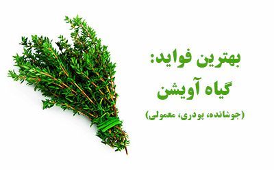 خواص جادویی آویشن برای ریه خواص جادویی آویشن برای ریه