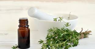 خواص جادویی آویشن برای ریه خواص جادویی آویشن برای ریه