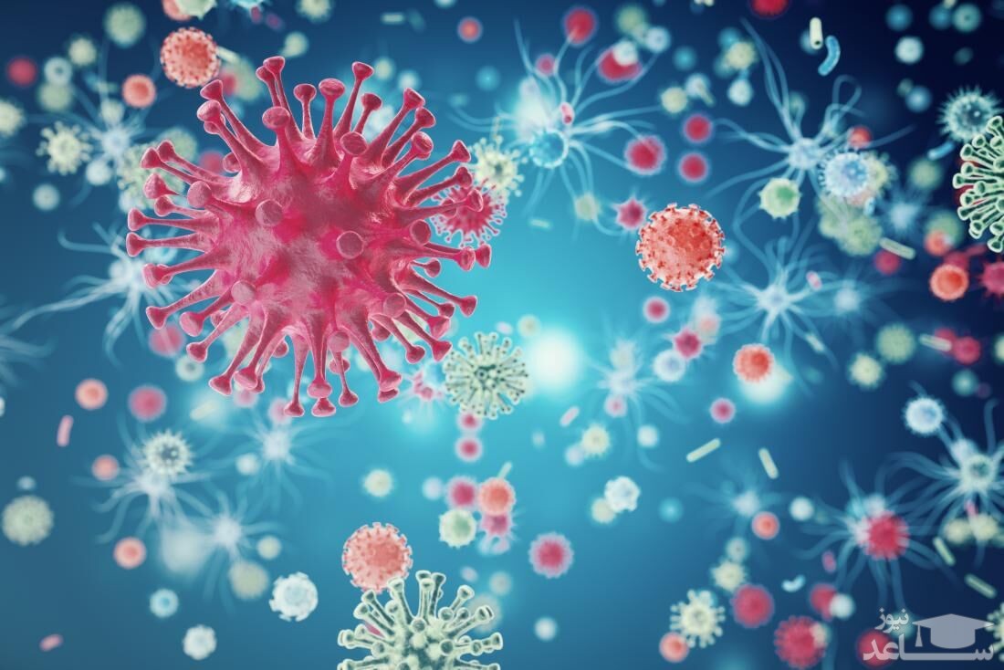 سفره بیماران کرونایی