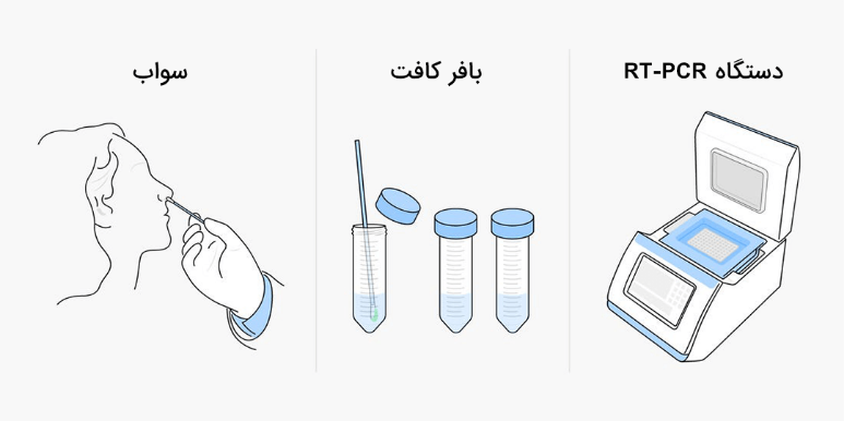 فرق تست آنتی بادی کرونا با تست PCR  کرونا چیست؟