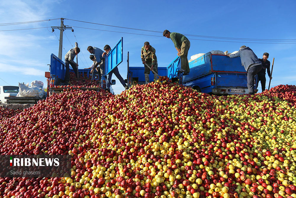 اقتصاد به روایت تصاویر ۱۸ آبان ۹۹