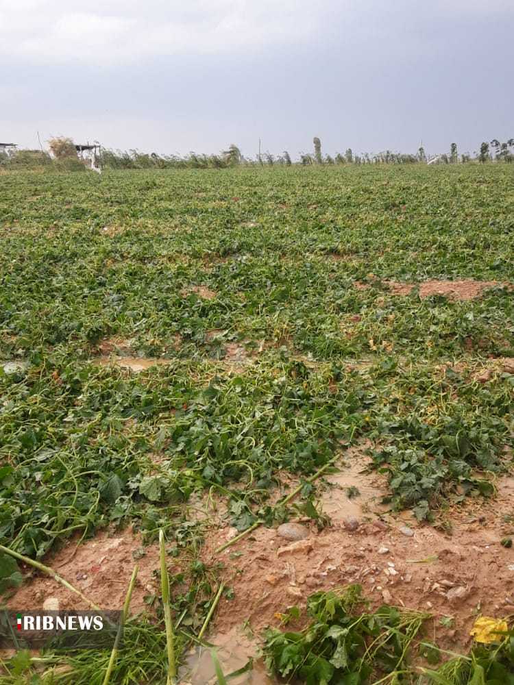 بارش تگرگ شدید در اندیمشک بارش تگرگ شدید در اندیمشک