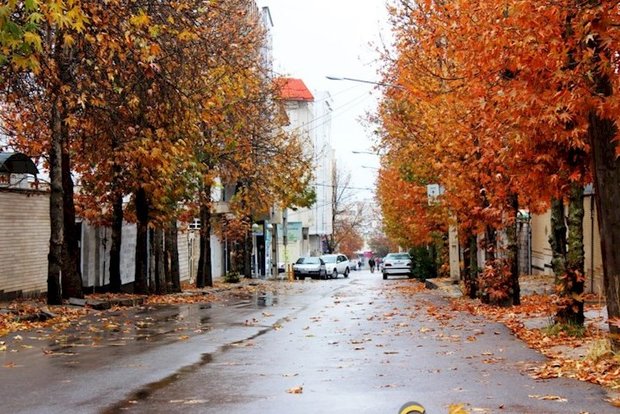 چشم نوازی طبیعت با طراوت فصل خزان چشم نوازی طبیعت با طراوت فصل خزان