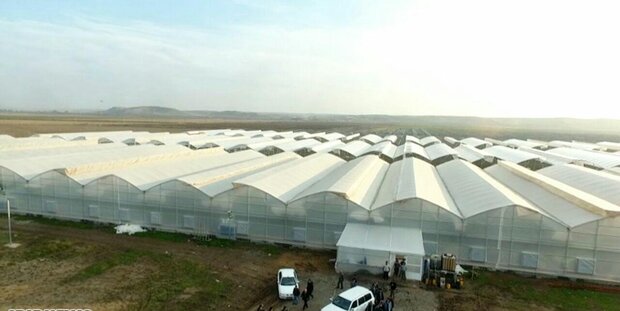 صدور مجوز ساخت چهار شهرک گلخانهای در یزد و ابرکوه صدور مجوز ساخت چهار شهرک گلخانهای در یزد و ابرکوه