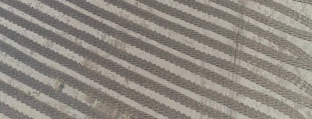 حرکت جهادی برای مهار ریزگردها در بندرماهشهر حرکت جهادی برای مهار ریزگردها در بندرماهشهر