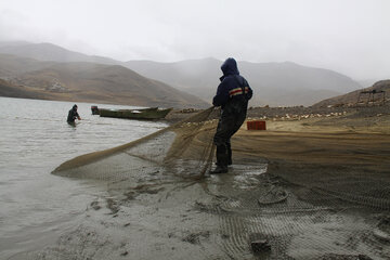 آغاز صید ماهی از دریاچه سد مهاباد آغاز صید ماهی از دریاچه سد مهاباد