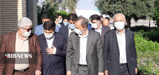 تاکید وزیر صمت بر تسریع توزیع دانه های روغنی تاکید وزیر صمت بر تسریع توزیع دانه های روغنی