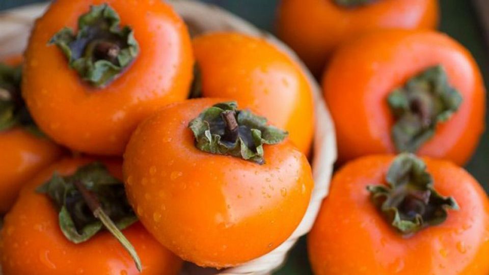 میوه های شفابخش زمستانی میوه های شفابخش زمستانی