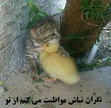 مهربان باشید تا عمرتان طولانی شود