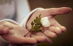 مهربان باشید تا عمرتان طولانی شود