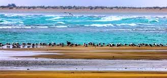 خلیج گواتر ، آخرین خشکی تا قطب جنوب