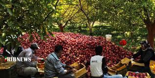 ضایعات به جای صادرات