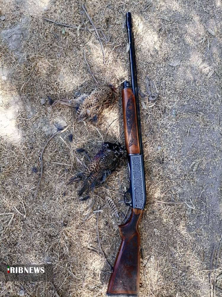 دستگیری شکارچی متخلف در شوشتر