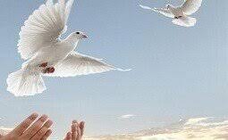 رهایی ۲ محکوم به قصاص از دار مجازات رهایی ۲ محکوم به قصاص از دار مجازات