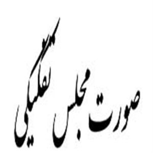 کاربرد صورت مجلس تفکیکی چیست؟