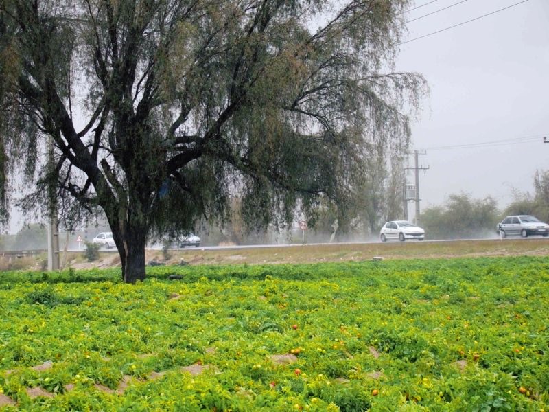 بندر خمیر؛نخستين شهر ملی تالابی