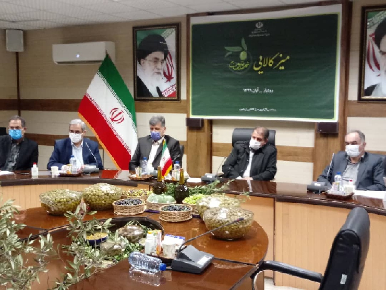 افزایش صادرات زیتون از گیلان افزایش صادرات زیتون از گیلان