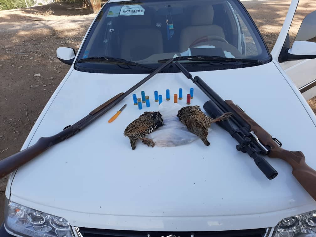 دستگیری دو شکارچی غیرمجاز در خوزستان دستگیری دو شکارچی غیرمجاز در خوزستان