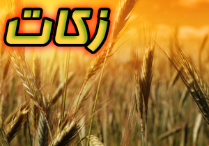 افزایش بیست درصدی پرداخت زکات در خوزستان افزایش بیست درصدی پرداخت زکات در خوزستان