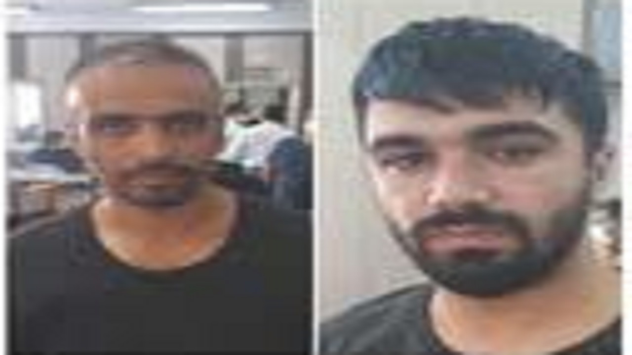 کلاهبرداران «رولکسی» بازداشت شدند