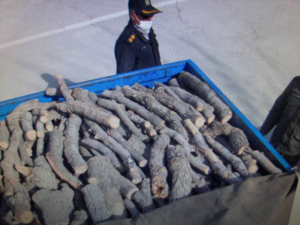 کشف و جمع آوری ۳ تن چوب بلوط قاچاق در بویین میاندشت کشف و جمع آوری ۳ تن چوب بلوط قاچاق در بویین میاندشت