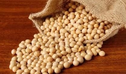 تولید ۱۲۰۰ تن سویا در میاندورود