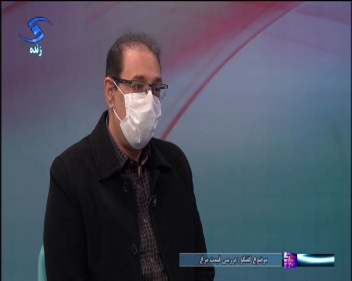 توزیع مرغ منجمد همچنان ادامه دارد