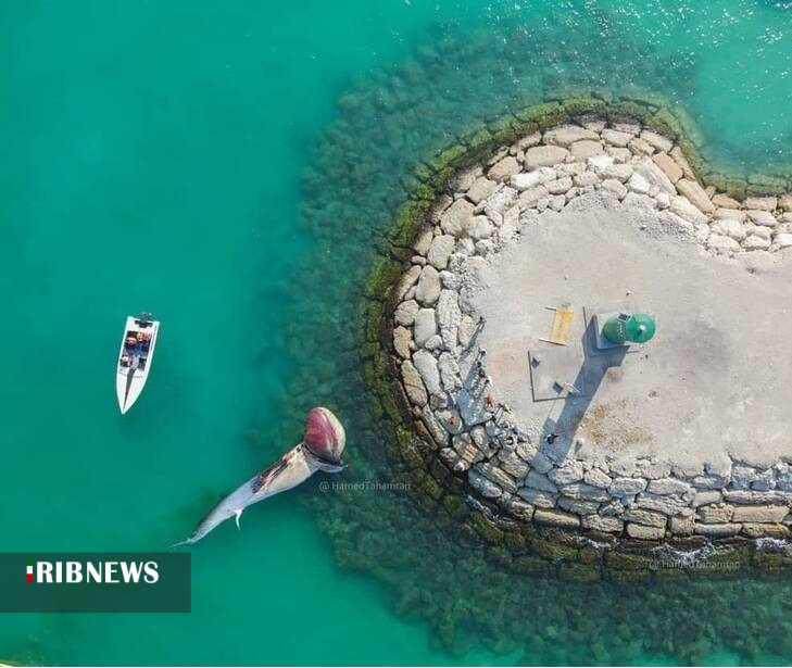 اقتصاد به روایت تصاویر ۱۱ آذر ۹۹ اقتصاد به روایت تصاویر ۱۱ آذر ۹۹