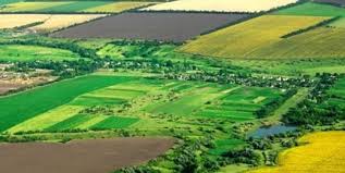 اختصاص ۴۵ هزار هکتار اراضی ملی به شهرکهای کشاورزی اختصاص ۴۵ هزار هکتار اراضی ملی به شهرکهای کشاورزی