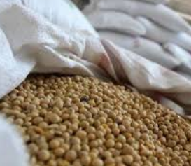 کشف محموله سویای قاچاق کشف محموله سویای قاچاق